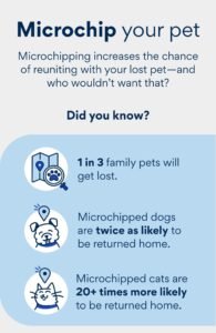 Microchipping