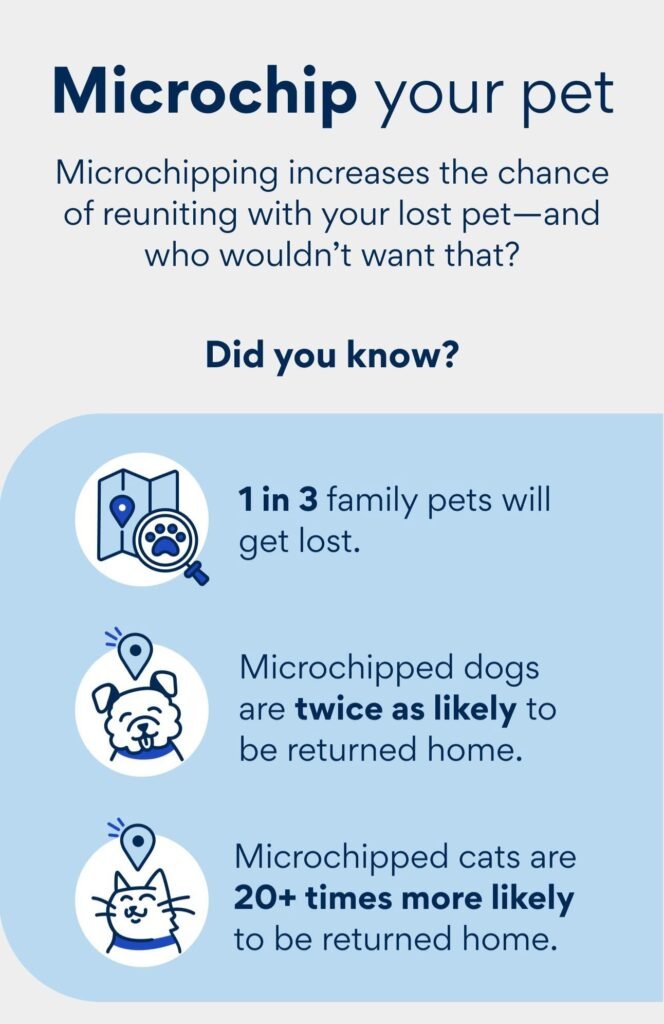 Microchipping